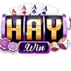 Haywin Thế Giới Cá Cược Hấp Dẫn Không Giới Hạn's profile picture