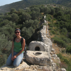 Gül Sürmelihindi's profile picture