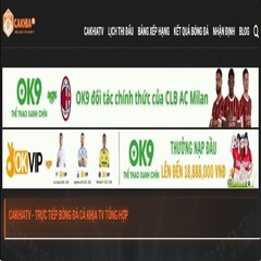 Ceo Nguyễn Minh Nhất's profile picture