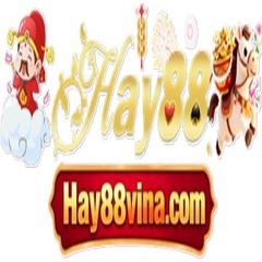 HAY88  VINA's profile picture