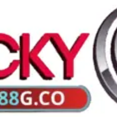lucky88  gco's profile picture