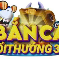 Bắn Cá Đổi Thưởng's profile picture