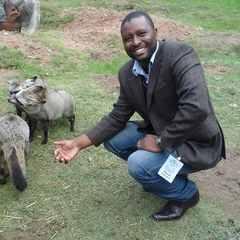 Victor Muposhi's profile picture