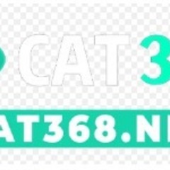 CAT 368's profile picture