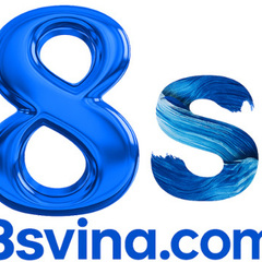 8S VINA's profile picture