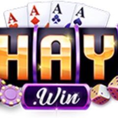 HAYWIN Design's profile picture