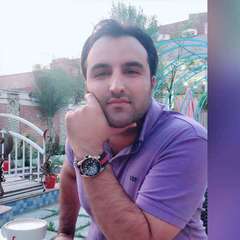 Ali Lotfi's profile picture