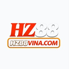 HZ88 VINA's profile picture