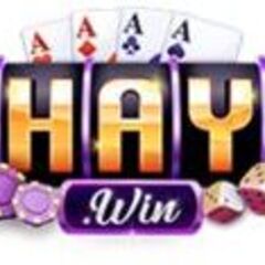 haywin1 biz's profile picture