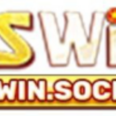 WS WIN's profile picture