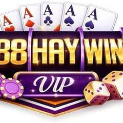 Haywin Casino Link Vào Mới Nhất, Không Bị Chặn's profile picture