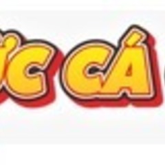 tintuccacuoccom tintuccacuoccom's profile picture