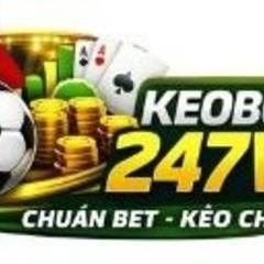 keobongda 247vn's profile picture