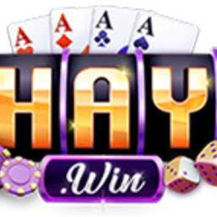 HAYWIN Loan's profile picture