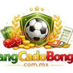 trangcado bongda's profile picture