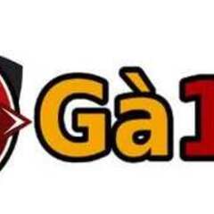 GA179 Link Vào Nhà Cái Gà 179 2026 [Chính Thức]'s profile picture