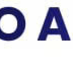 nowgoal hair's profile picture