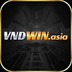 VNDWIN asia's profile picture