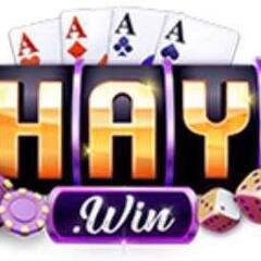 HAYWIN Rent's profile picture