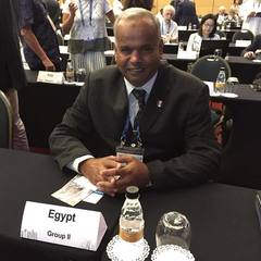 Nasser Sweilam's profile picture