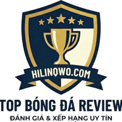Top Bóng Đá Review's profile picture