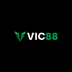 Vic88 vc's profile picture