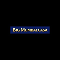 Big Mumbai  Game's profile picture