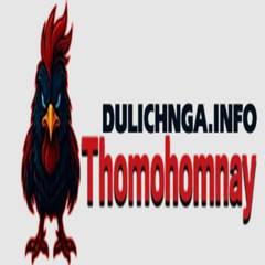 thomohomnay dulichnga's profile picture