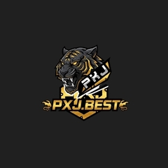 Pxj  Best's profile picture