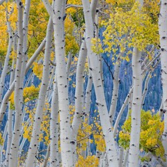 YeSeung Lee's profile picture