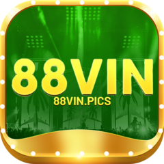 88vin pics's profile picture