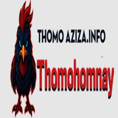 thomohomnay aziza's profile picture
