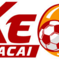 keonhacai688 com mx's profile picture