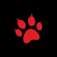 Daniel Beck's profile picture