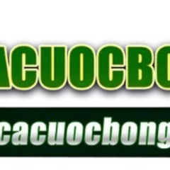 Cá Cược  Bóng Đá's profile picture