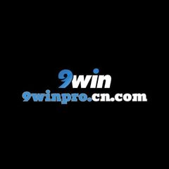9Winpro cn com's profile picture