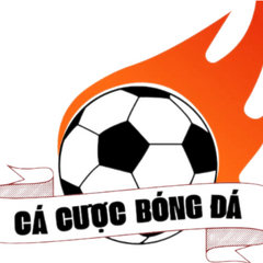 Cacuocbongda38 com mx's profile picture