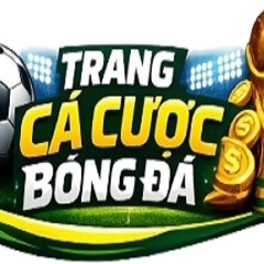 tccbdut org's profile picture