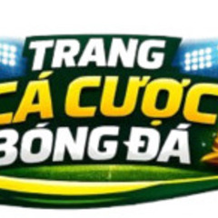 cá độ bóng  đá's profile picture