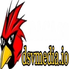 daga88 dsvmedia's profile picture