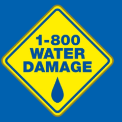 1-800 Water Damage of Tempe/ West Chandler's profile picture