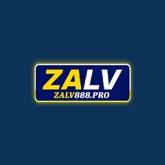 Zalv888 pro's profile picture
