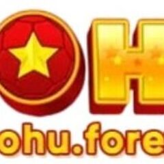Nohu forex's profile picture