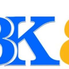 BK8 reisen's profile picture