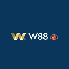 W88 BZ's profile picture