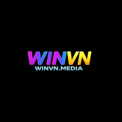 Winvn  media's profile picture
