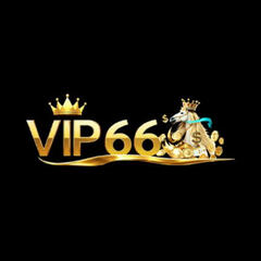 vip66 gg's profile picture