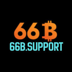 66b support's profile picture