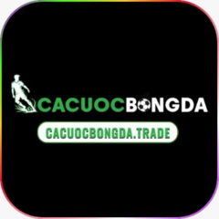 Cacuocbongda  trade's profile picture