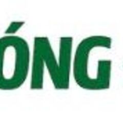 Bóng Đá Plus Tin Tức Bóng Đá Nhanh's profile picture